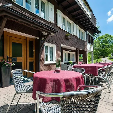 Värdshus Schwendi 3*