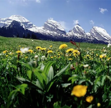 Мини-отель Schwendi 3*