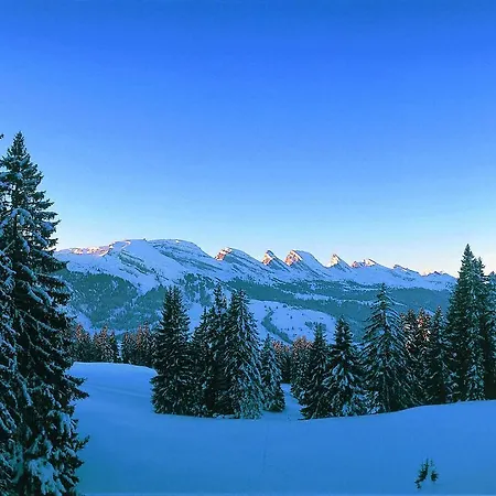 Мини-отель Schwendi 3*