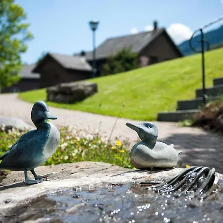 Schwendi 3* Unterwasser