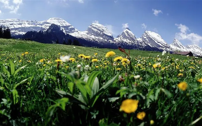 Мини-отель Schwendi 3*